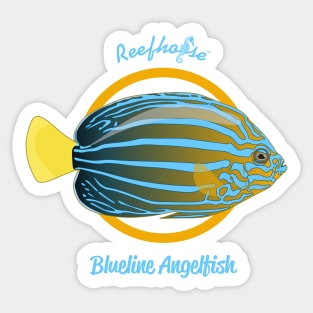 Blueline Angelfish Sticker